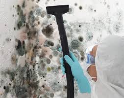 Why You Should Choose Our Mold Remediation Services in Dewitt, MI